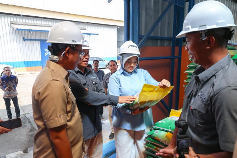 Turun Langsung ke Gudang Bulog Serang
