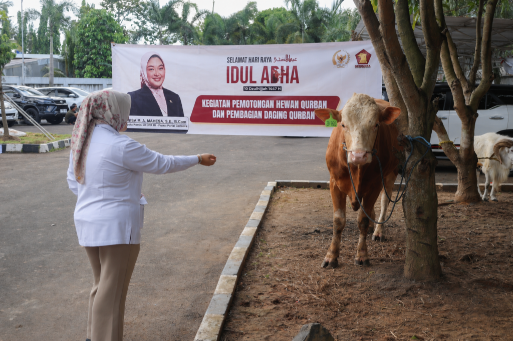 Penyaluran Hewan Kurban untuk Masyarakat